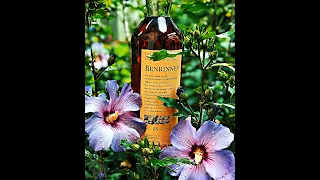 🇩🇪 Benrinnes 15 Jahre, Speyside, Flora und Fauna, Diageo - Whisky Review in Deutsch