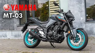 Yamaha MT-03 (2022)  The Most Detailed View