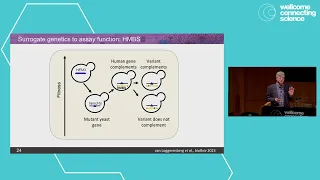 Mutational Scanning Symposium 2023 | Keynote by Fritz Roth, University of Toronto, Canada