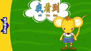 I See (我看到) | Single Story | Early Learning 1 | Chinese | By Little Fox