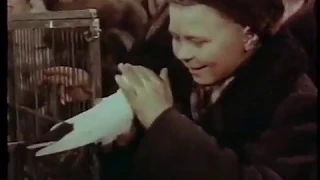 Верные сердца 1959