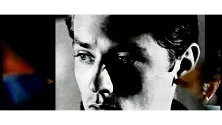 Alain Delon - Dénaturé (by Bruno Pelletier) with lyrics