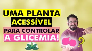 Uma planta acessível para controlar a GLICEMIA!