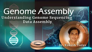 What is Genome Assembly?