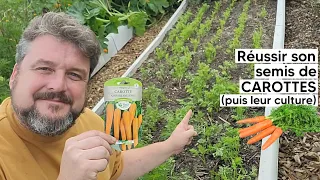 Comment réussir son semis de CAROTTES 🥕  (puis l'éclaircissage)『TUTO』