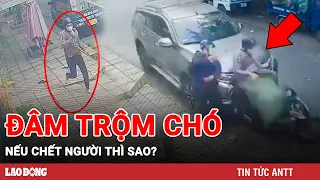 Vụ 2 thanh niên trộm chó bị ôtô tông hất văng: Nếu chết người, tài xế có bị xử lý? | BLĐ