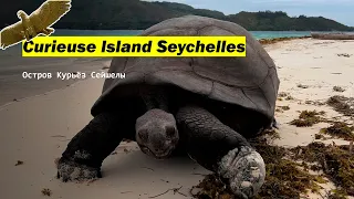 Curieuse Island Seychelles