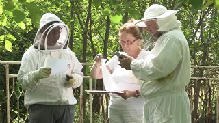 Boja meda ep. 188 12.10.2021. Klimatske promene i uticaj na pčelarstvo, kako prepoznati pravi med