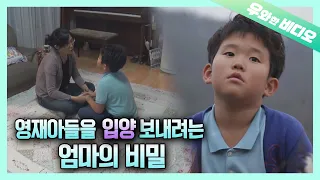 Mom, Don't Give Me Up for Adoption.. A 9-Year-Old Piano Prodigy, YongJun Bae Episode 1.