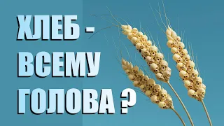 ХЛЕБ - ВСЕМУ ГОЛОВА !?! ▪ Происхождение пшеницы ▪ Скляров А.Ю.🌾Вавилов Н.И.