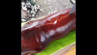 Crispy and Tasty Lechon