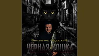 Чёрная кошка