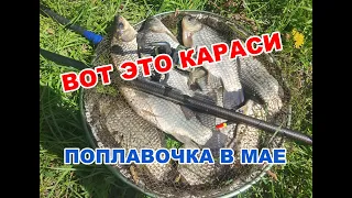 Как заставить крупного КАРАСЯ клевать! ПОПЛАВОЧКА в мае