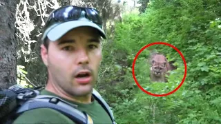 30 Scariest Mountain Lion Encounters of the Year