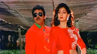 Chiranjeevi, Sridevi Evergreen Superhit Video Song | Ammani Tiyyani Debba Telugu Song