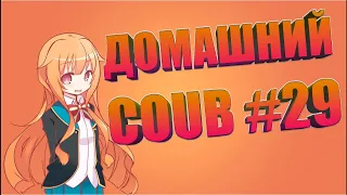 Домашний COUB #29