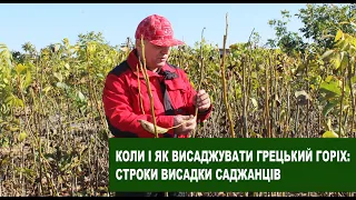 №105  Горіхові саджанці: Як правильно викопати і коли садити