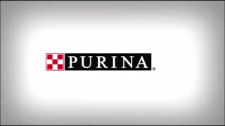 Purina Logo