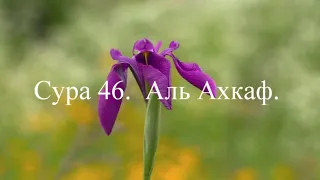 Сура 46.  Аль Ахкаф.