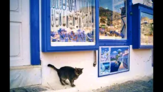 “It's snowing”,Sergey chekalin,Greek cats