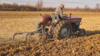 Massey Ferguson 135 İle Tarla Sürme