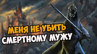 О чём была кампания The Rise of the Witch king