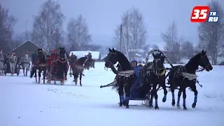 Тысячи вологжан собрались на празднике Русской тройки в деревне Ерофейка