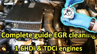 The complete guide to EGR cleaning (1.6HDi and 1.6TDCi engines)