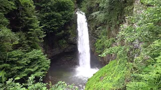 Sound of Waterfall in the Forest to relax deeply