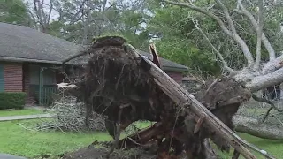 Angleton begins clean-up after severe storm