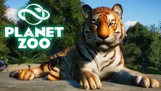 Wir bauen einen Zoo! - Planet Zoo Beta #01