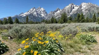 Grand Teton Moments in June.