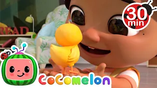 Numbers Song with Little Chicks |  @Cocomelon - Nursery Rhymes | Nursery Rhymes & Kids Songs