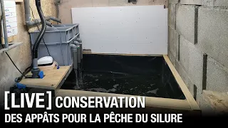 LIVE - Conservation des appâts vivants pour la pêche du silure