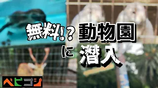 【夢見ヶ崎動物公園】無料と聞いて行ってみたらボリューミー！【モトブログ】