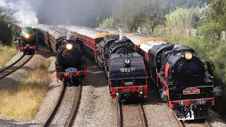 The Great Steam Train Race - Hunter Valley Steam Festival 2023