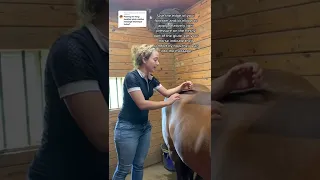 Another way to do the Gluteus Medius Massage Technique on Your Horse