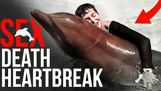 Dolphin Su*cide After This | Dolphin S*xual Behavior | Animal Geographic