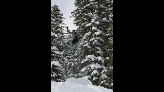 Yodelin Ski Area Avalanche Video Observations 2-20-2021