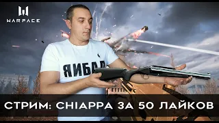 Играем РМ раздам чаппу за 50 лайков #игра #зебозор #блогер #warface #варфейс #стрим