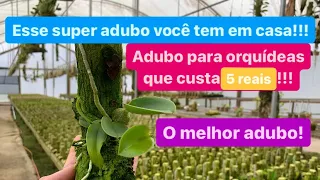 ESQUEÇA TODOS OS OUTROS ADUBOS! ESSE É O MELHOR ADUBO PARA ORQUÍDEAS!!!