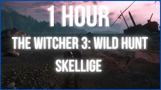 [ 1 HOUR ] The Witcher 3: Wild Hunt - SKELLIGE Atmosphere & Music