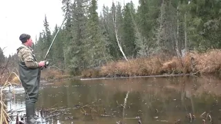 46 серия Рыбная Яма ловля Удочка Поплавок Тайга Рыбалка на Хариуса река Даугли Ручейники