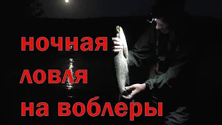 Ночь. Воблеры. Ждал судака а в итоге...