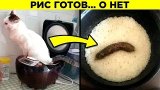 Планы, Которые Пошли Наперекосяк. Часть 3