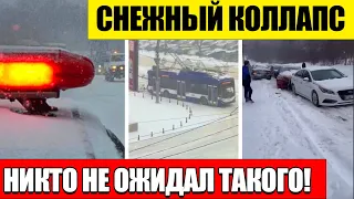 СРОЧНО! Снежная буря в Молдове застала всех врасплох!