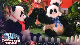 Ant & Dec Become Pandas Again! | Saturday Night Takeaway