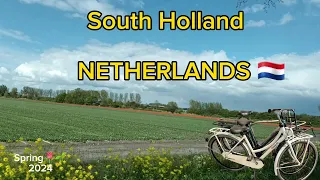 The beauty of South Holland Netherlands roads |Netherlands 4K