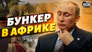 Путину подарили бункер в Африке - туда уже вывозят ценности из Москвы. Скоро побег?