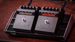 MARSHALL SHRED & DRIVE MASTER - Pedal Frenzy